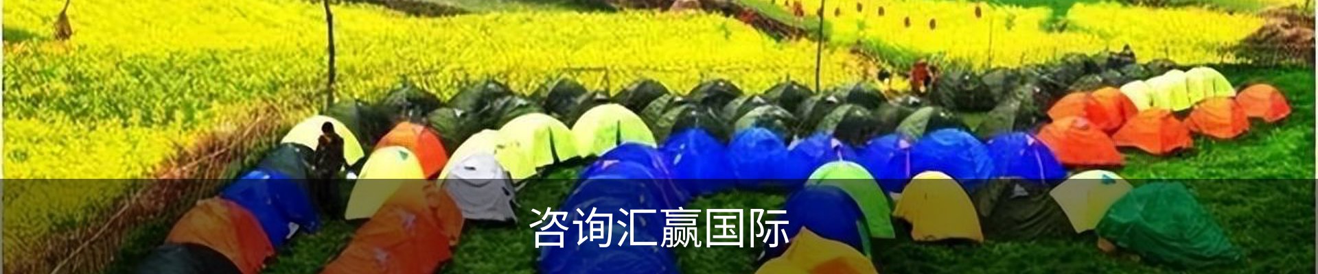 咨询汇赢国际